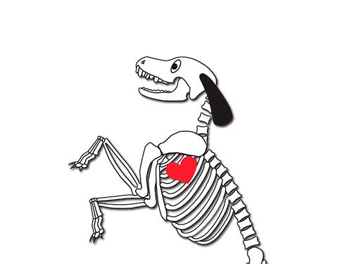 Dog-Bones